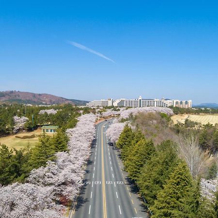 Kensington Resort Кёнджу Экстерьер фото