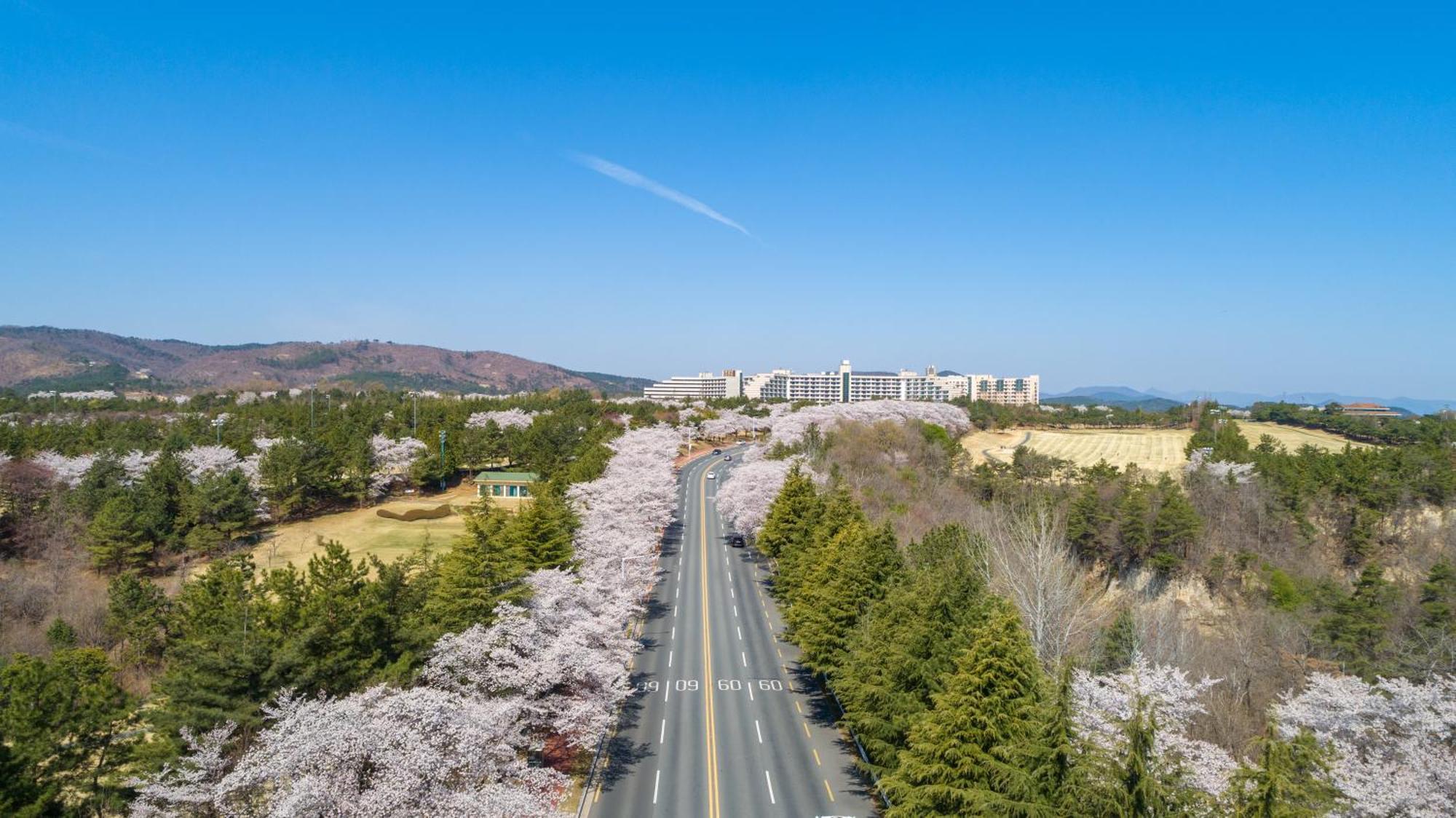 Kensington Resort Кёнджу Экстерьер фото